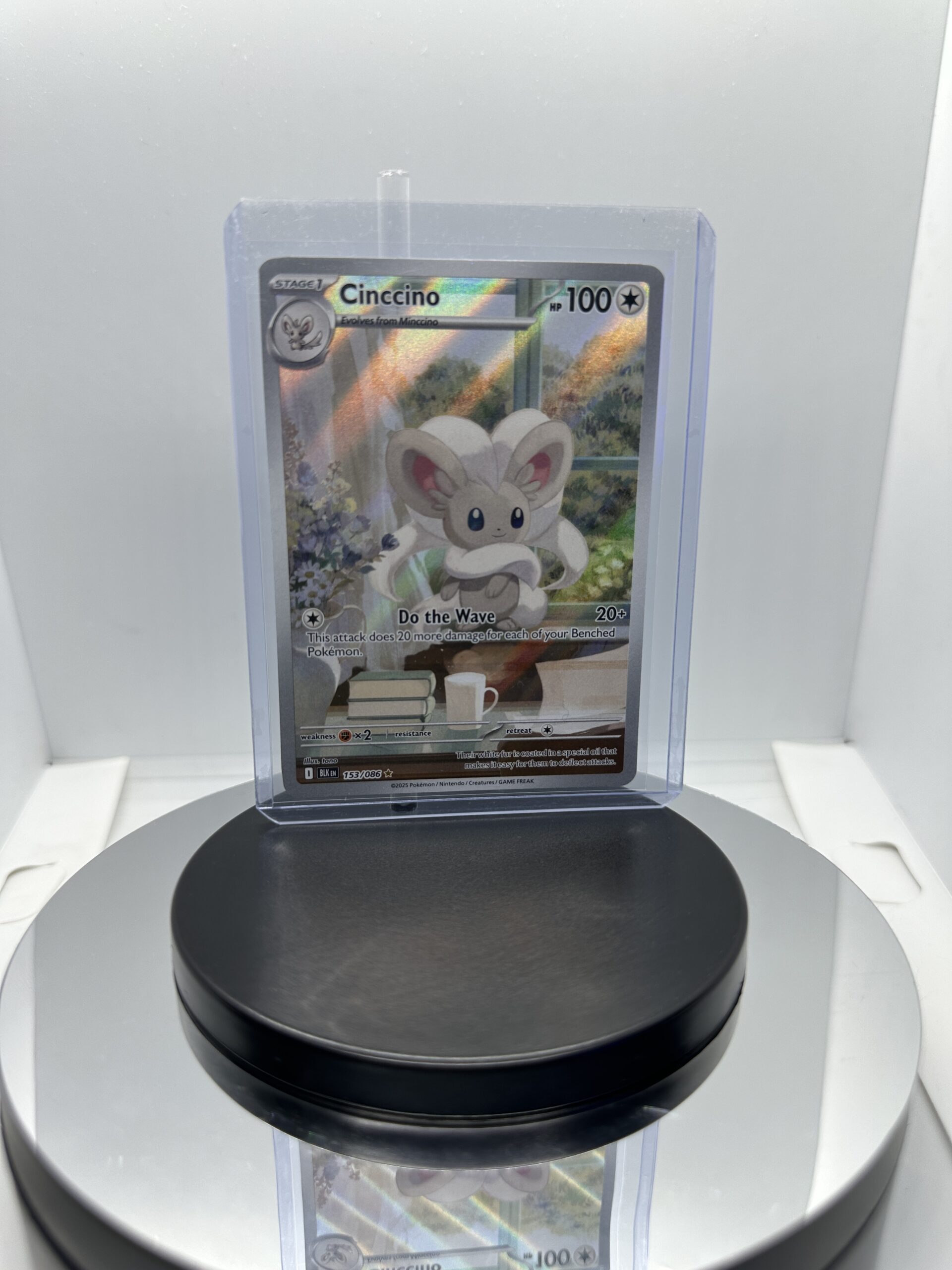 Cinccino - 153/086 - SV: Black Bolt (BLK) - Image 2