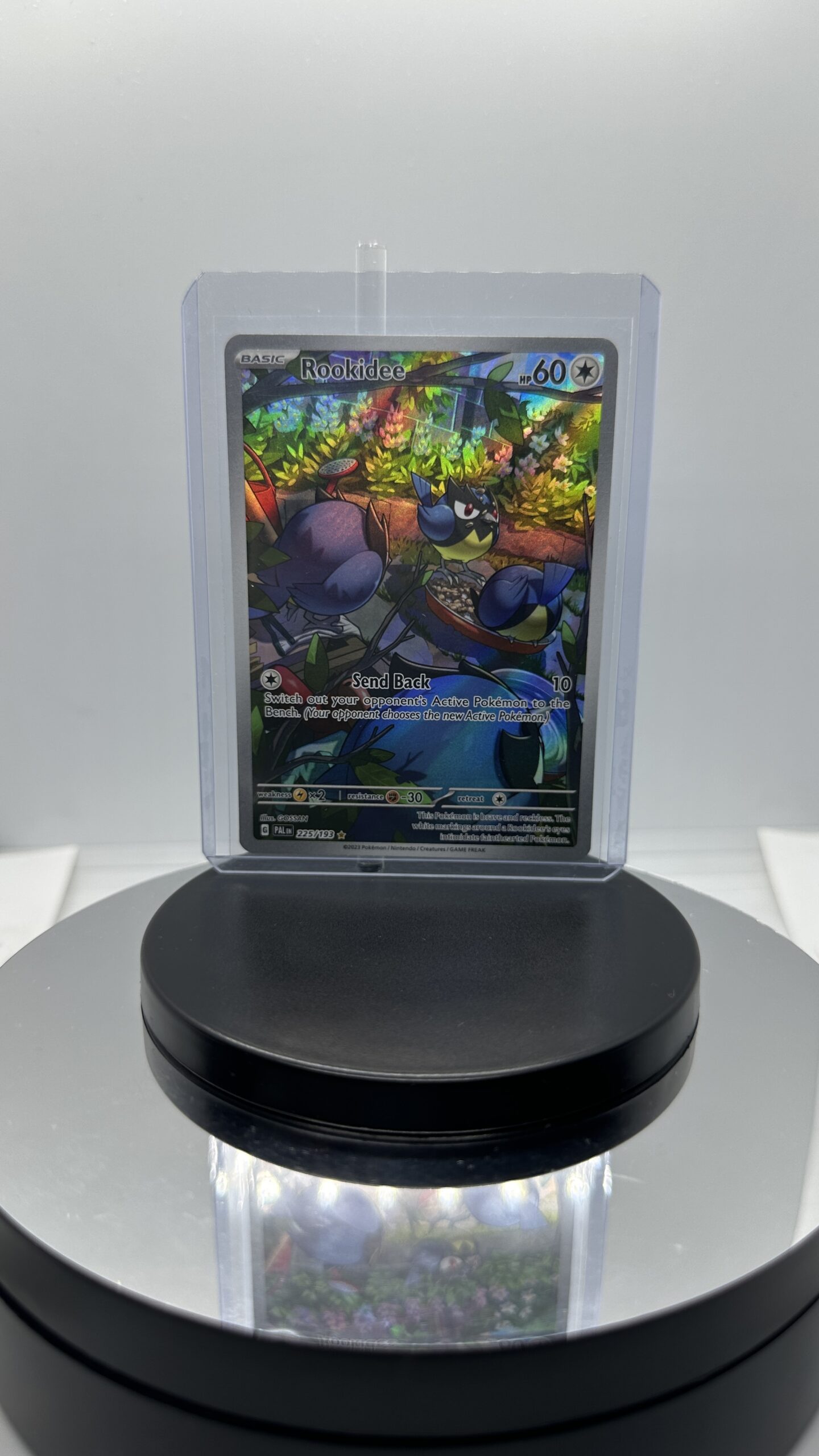 Rookidee - 225/193 - SV02: Paldea Evolved (PAL) - Image 2
